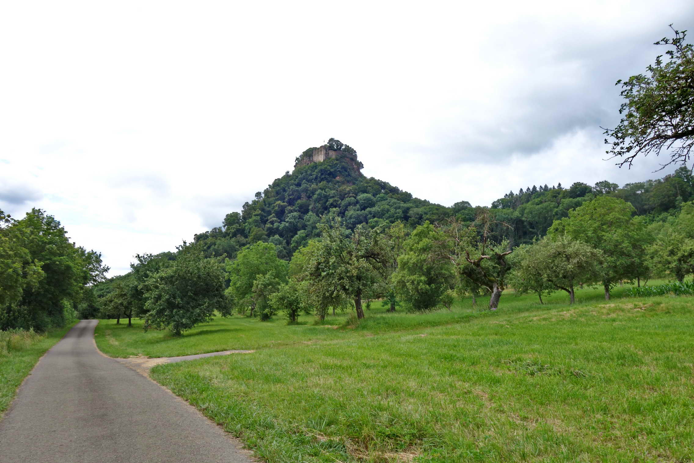 DSC09705a
