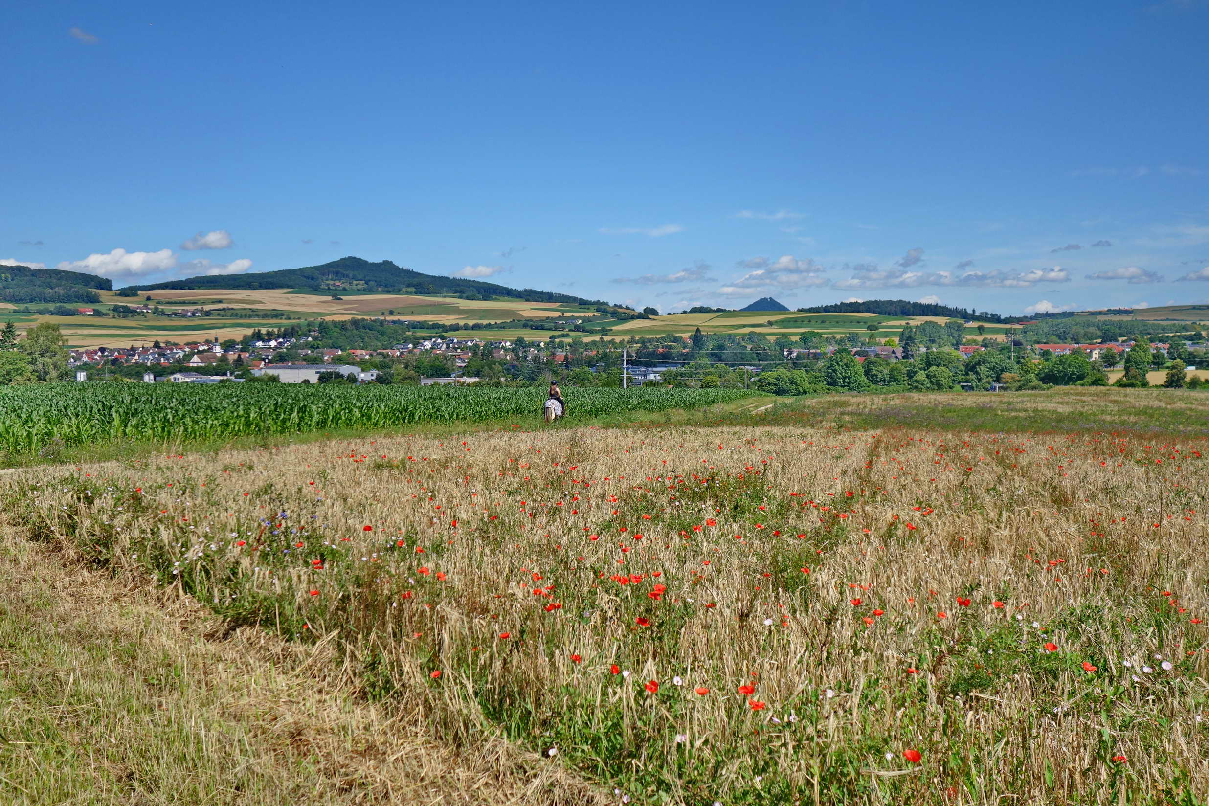 DSC09868a