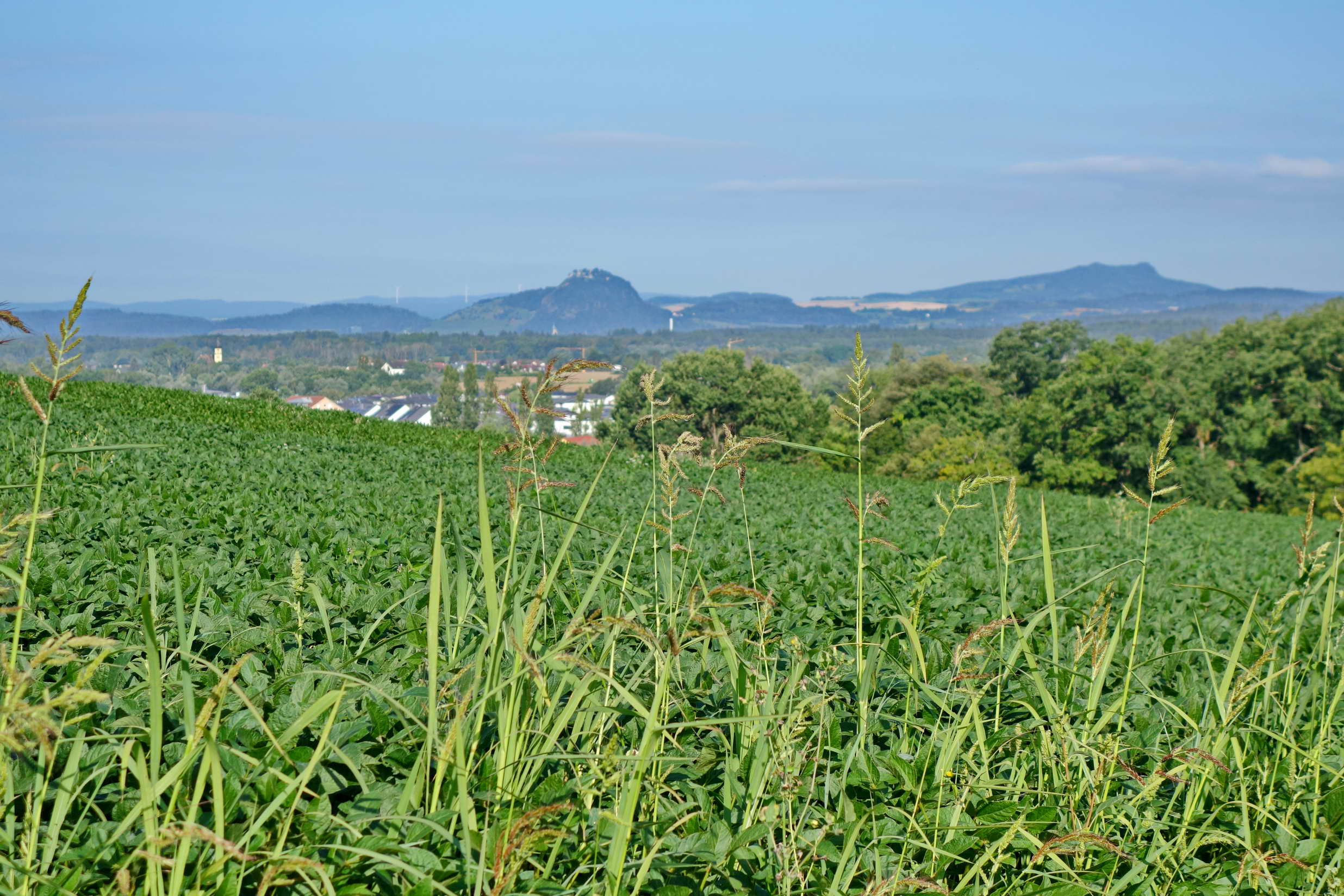 DSC00042a