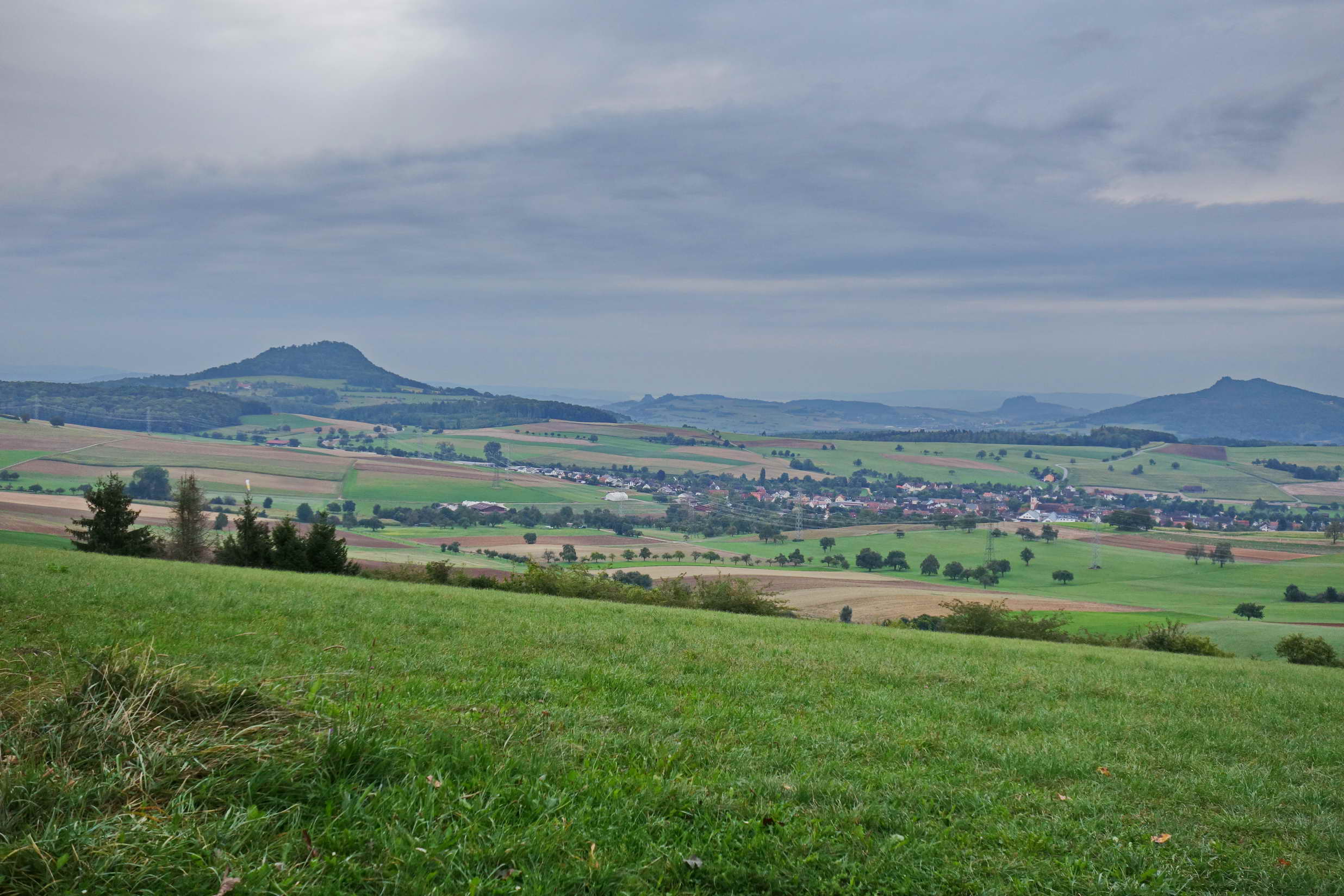DSC00518a