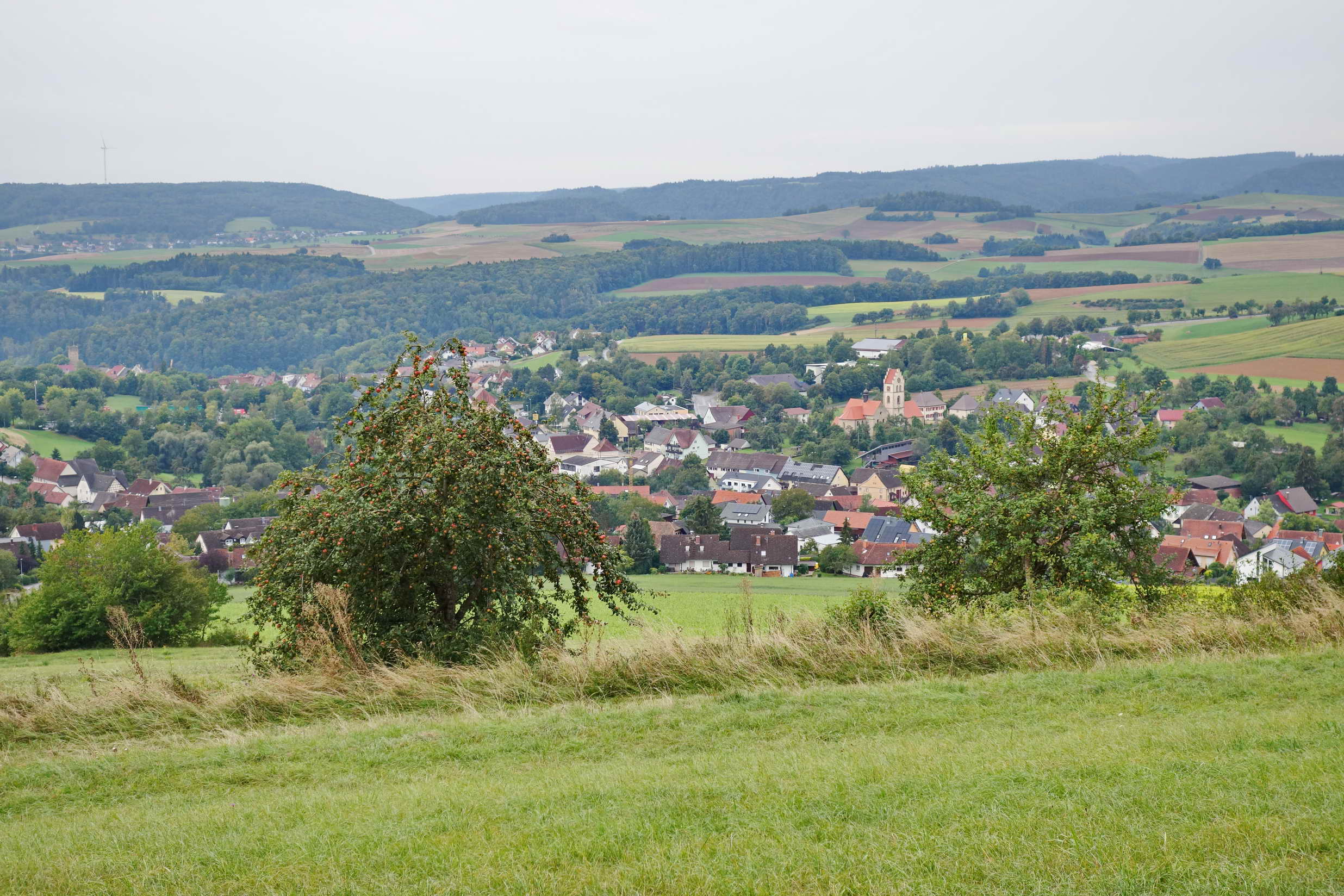DSC00550a