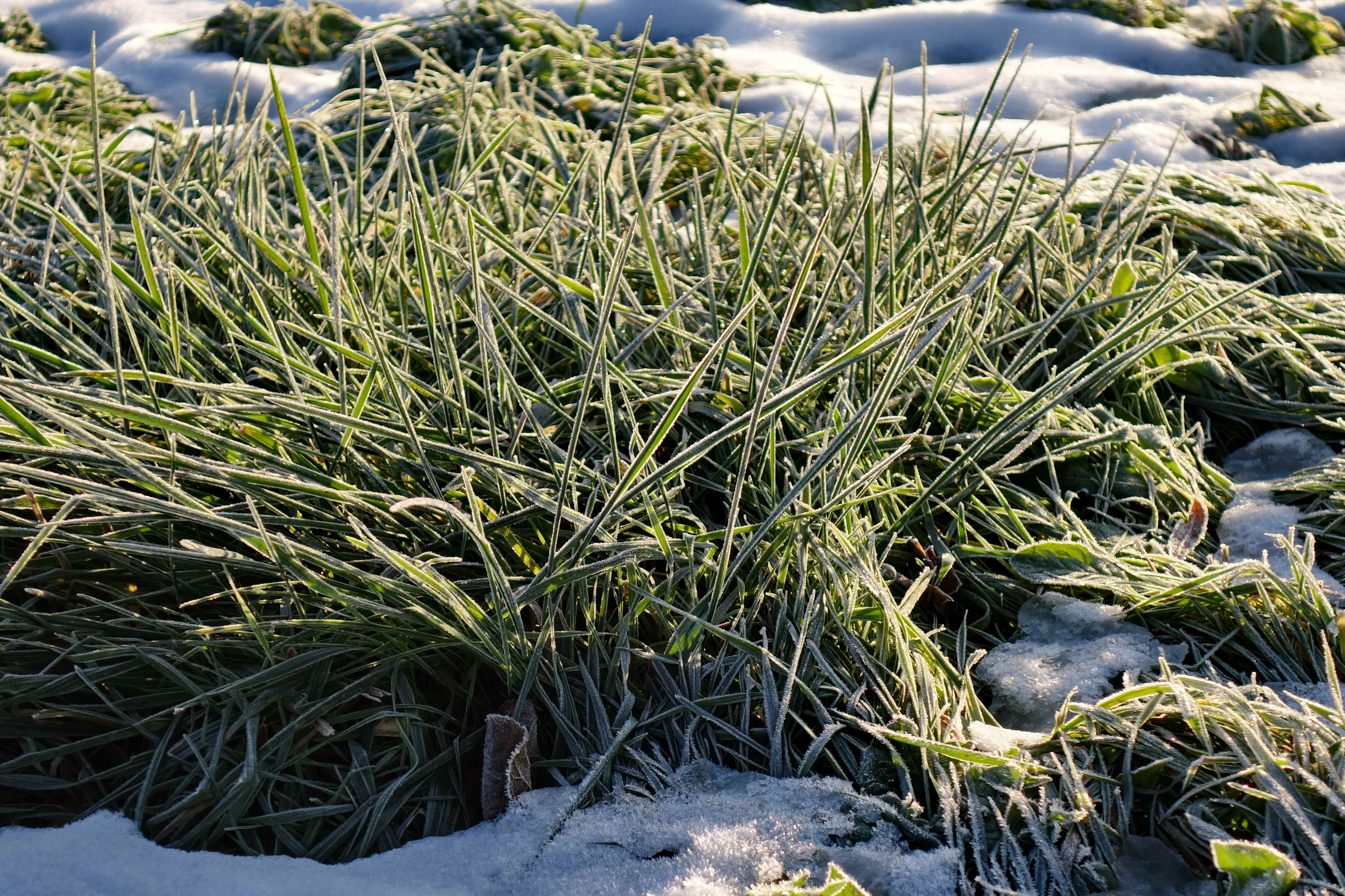 DSC01190a