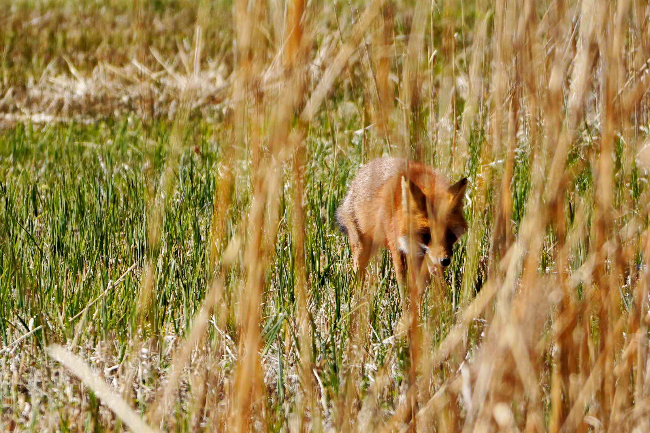 DSC01862jx