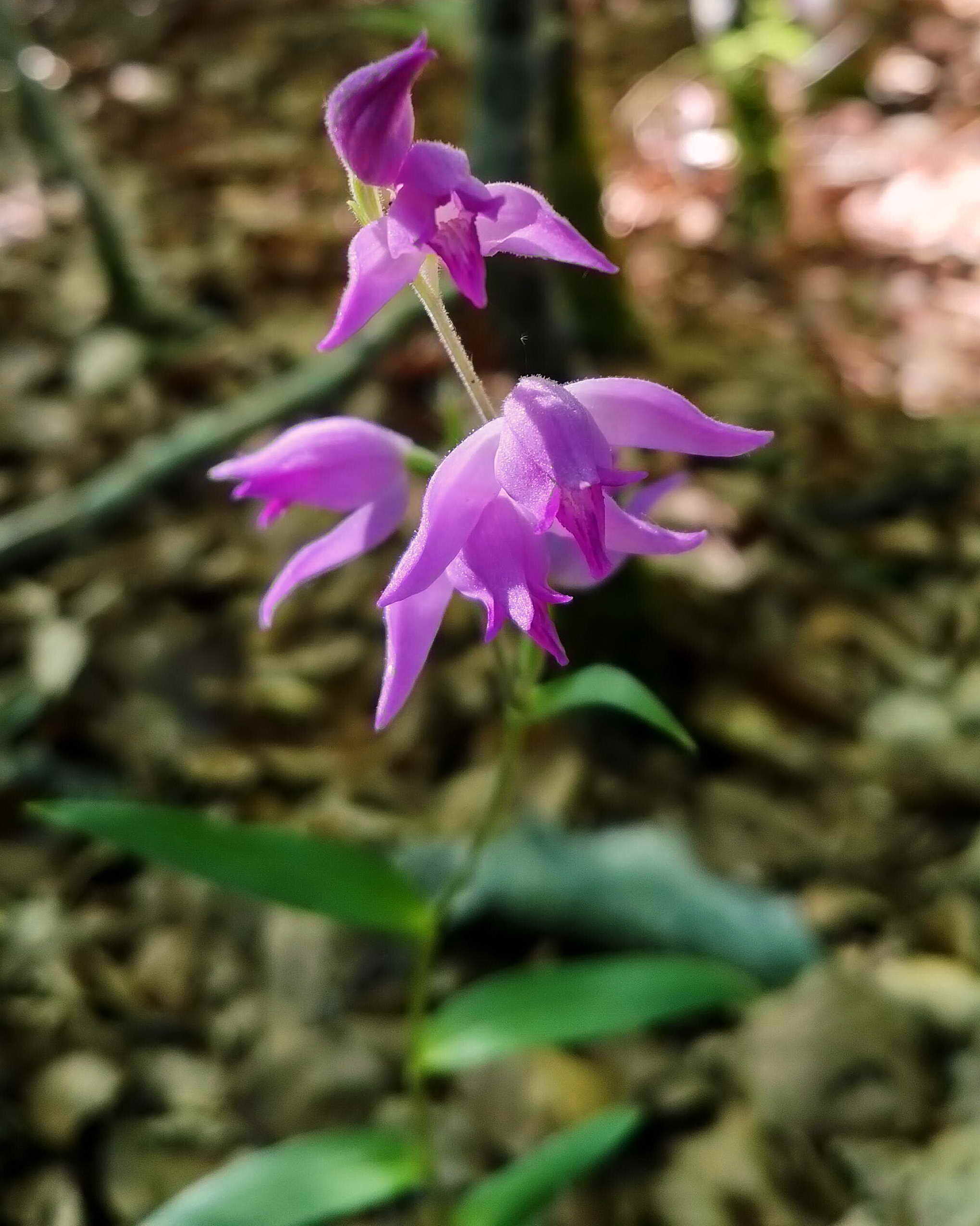 DSC02150q