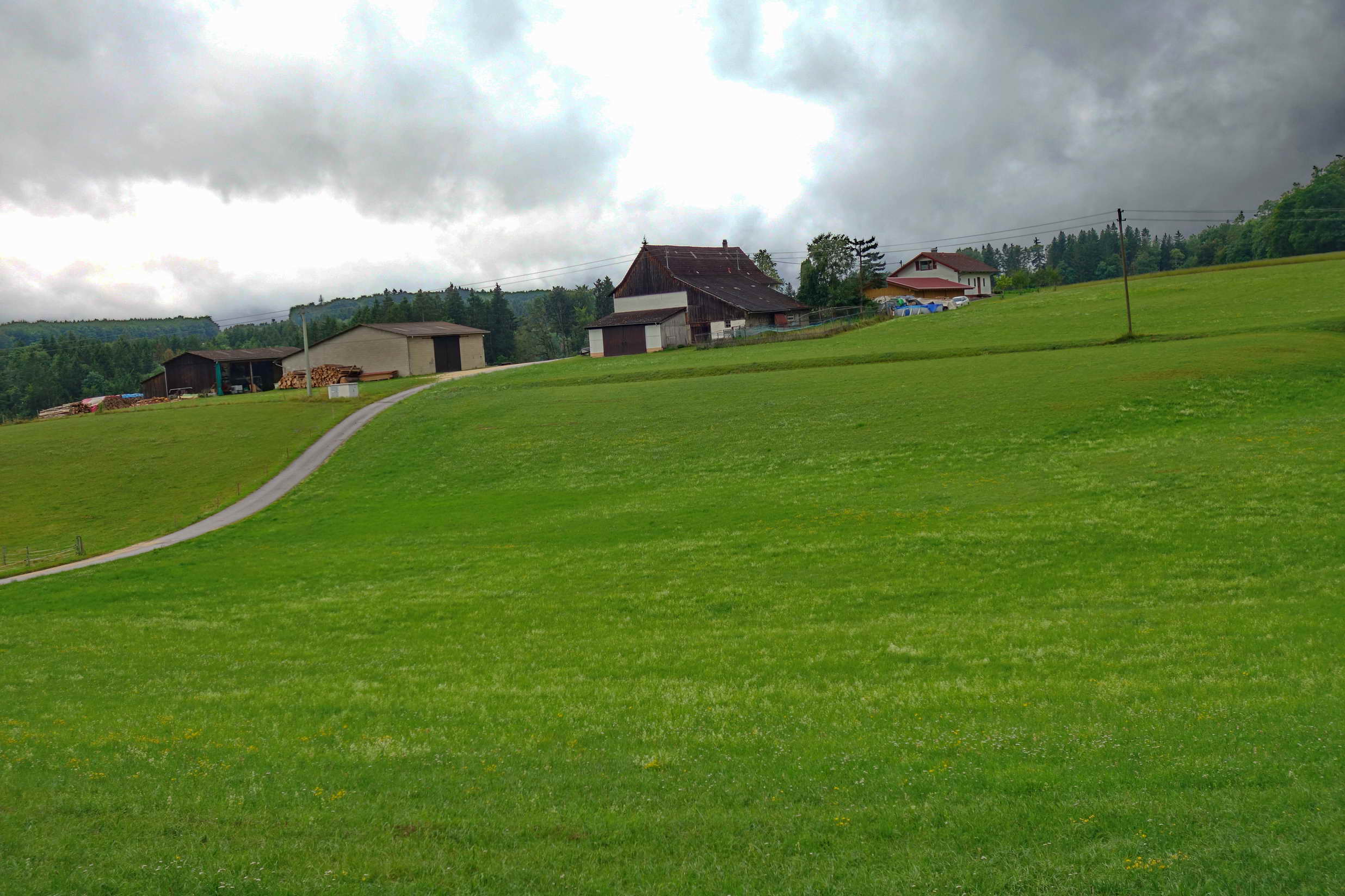 DSC02317a