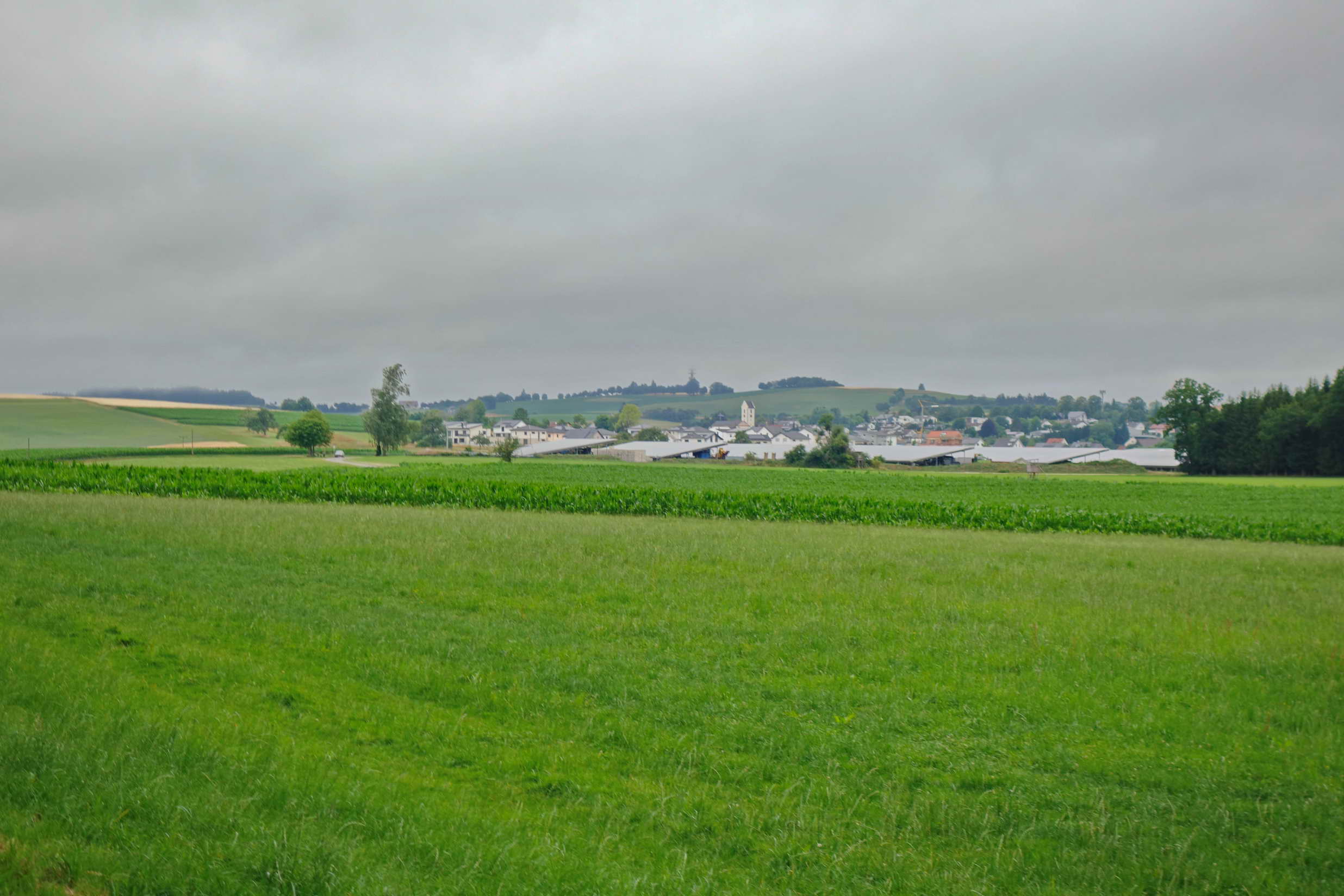 DSC02325a