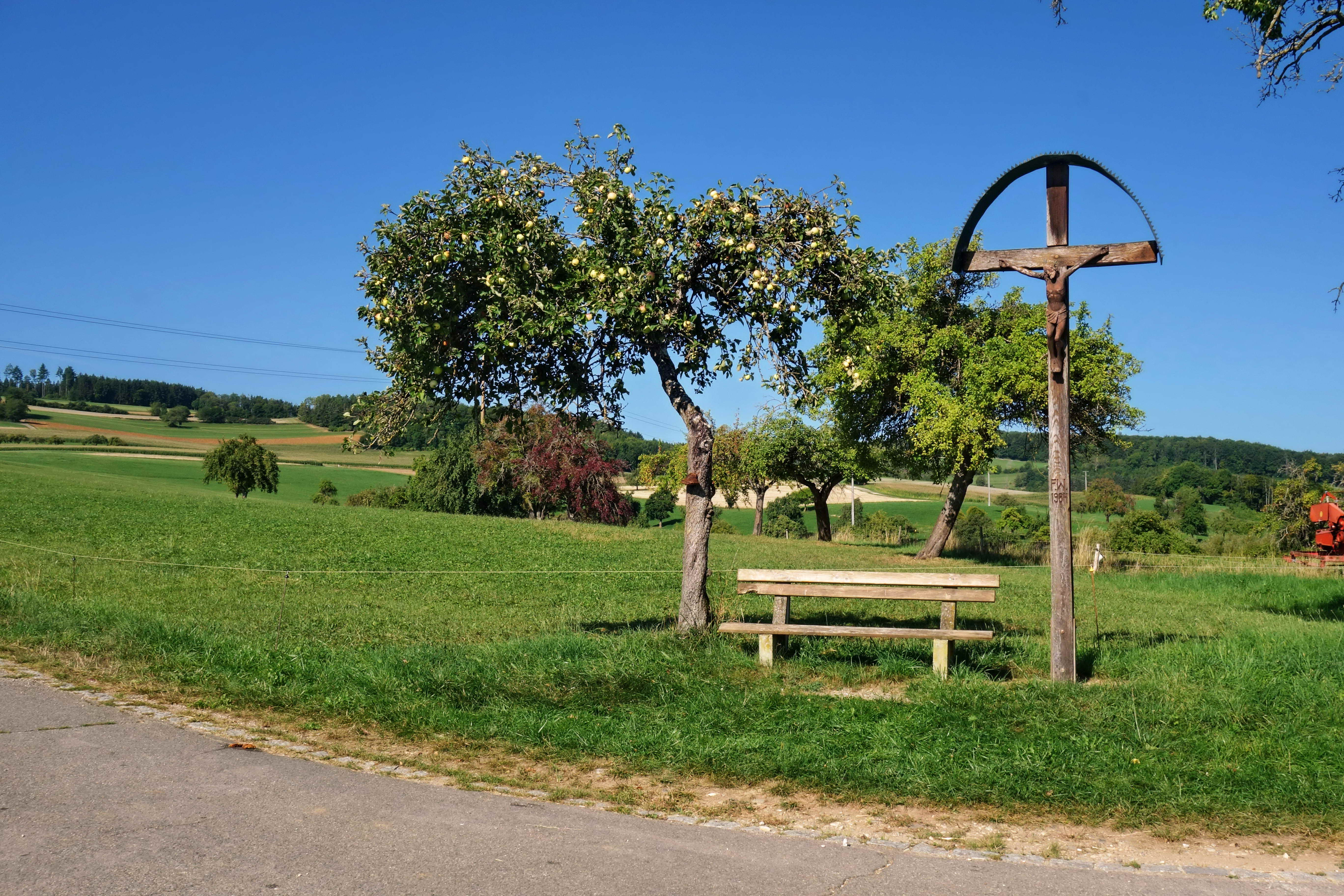 DSC02543a