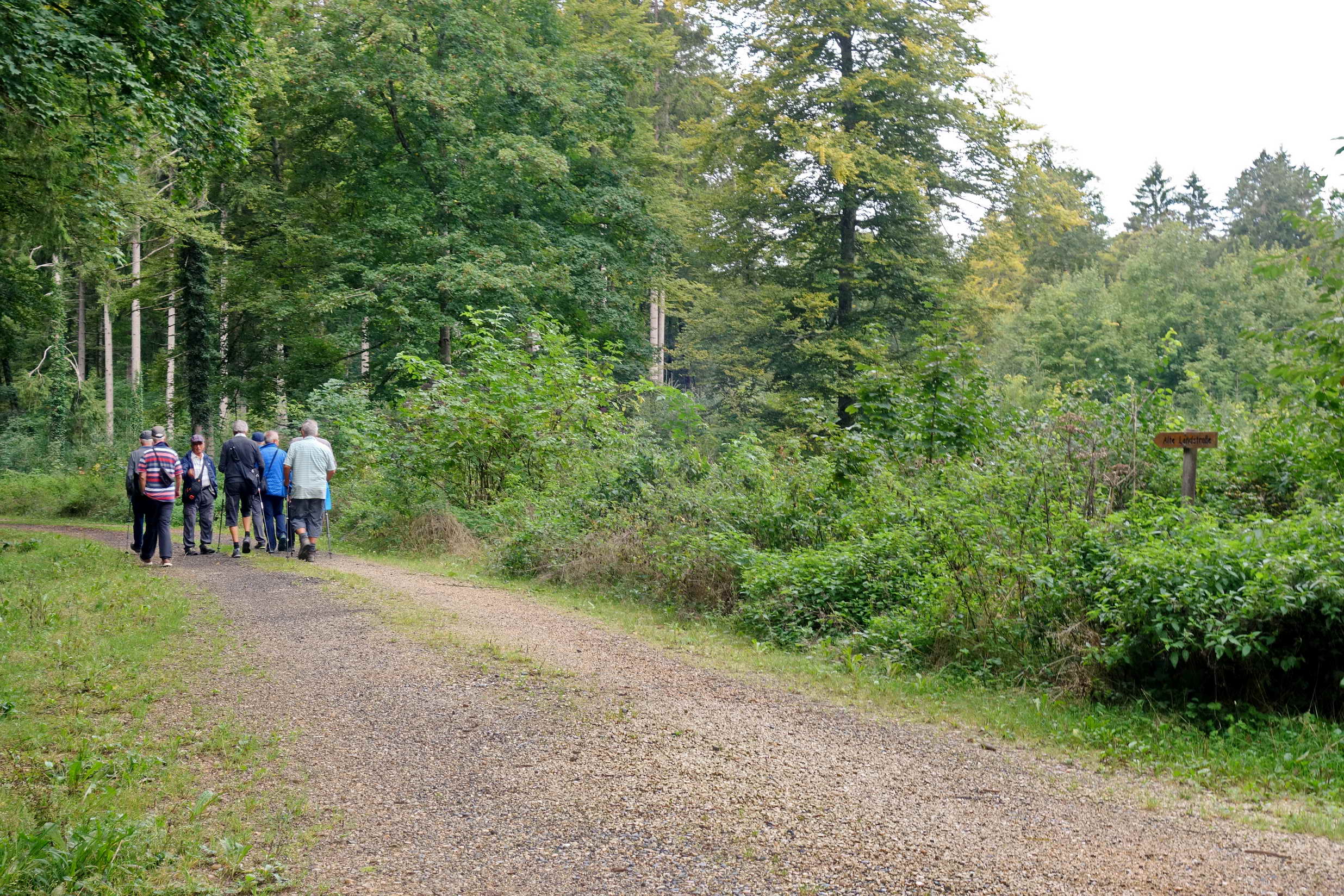 DSC02644a