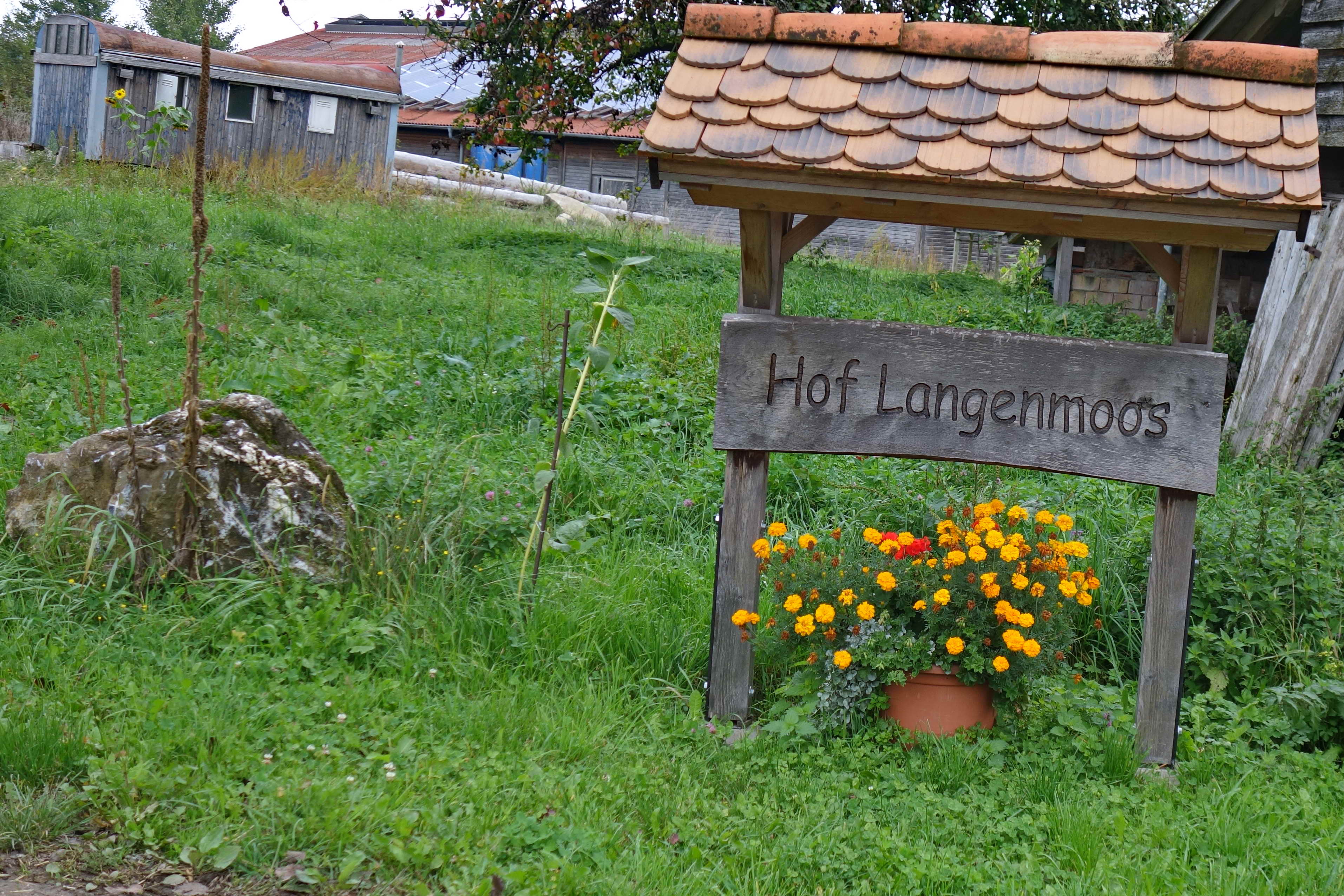 DSC02822a