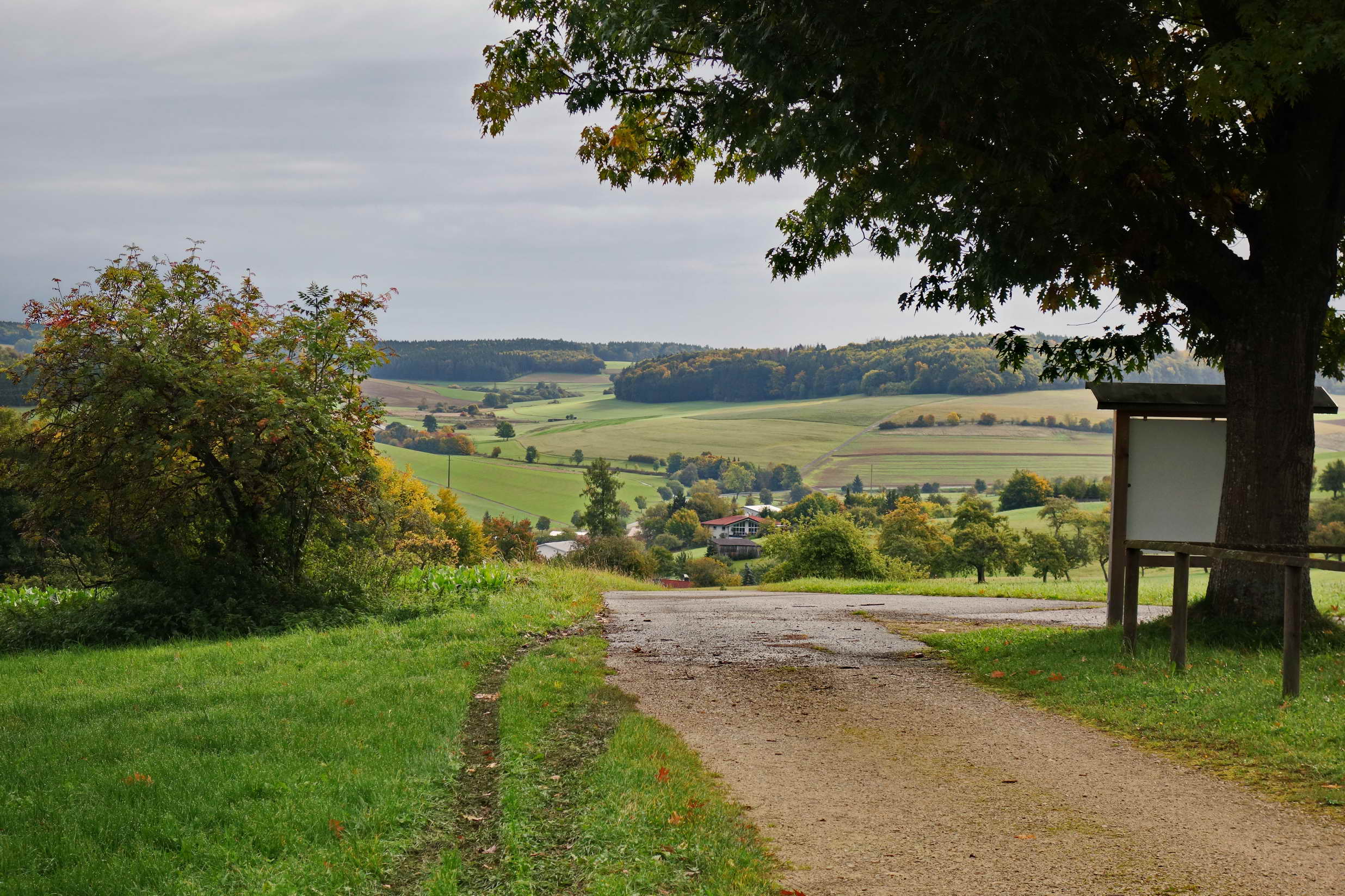 DSC02876a