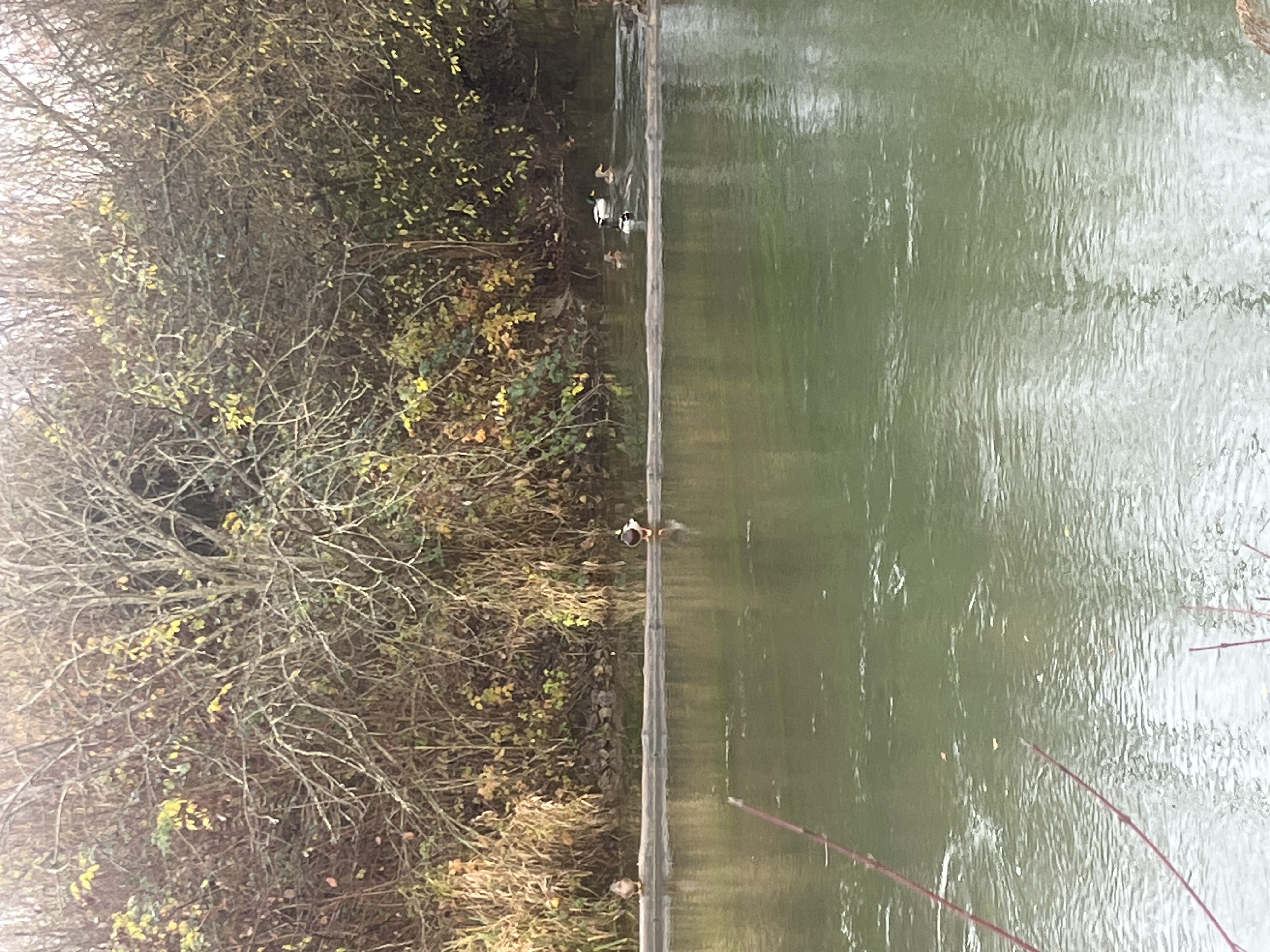 F3B6E56A-7BE3-4EC9-8917-5AFAC160C6A2-26268-000053986723FD61_004