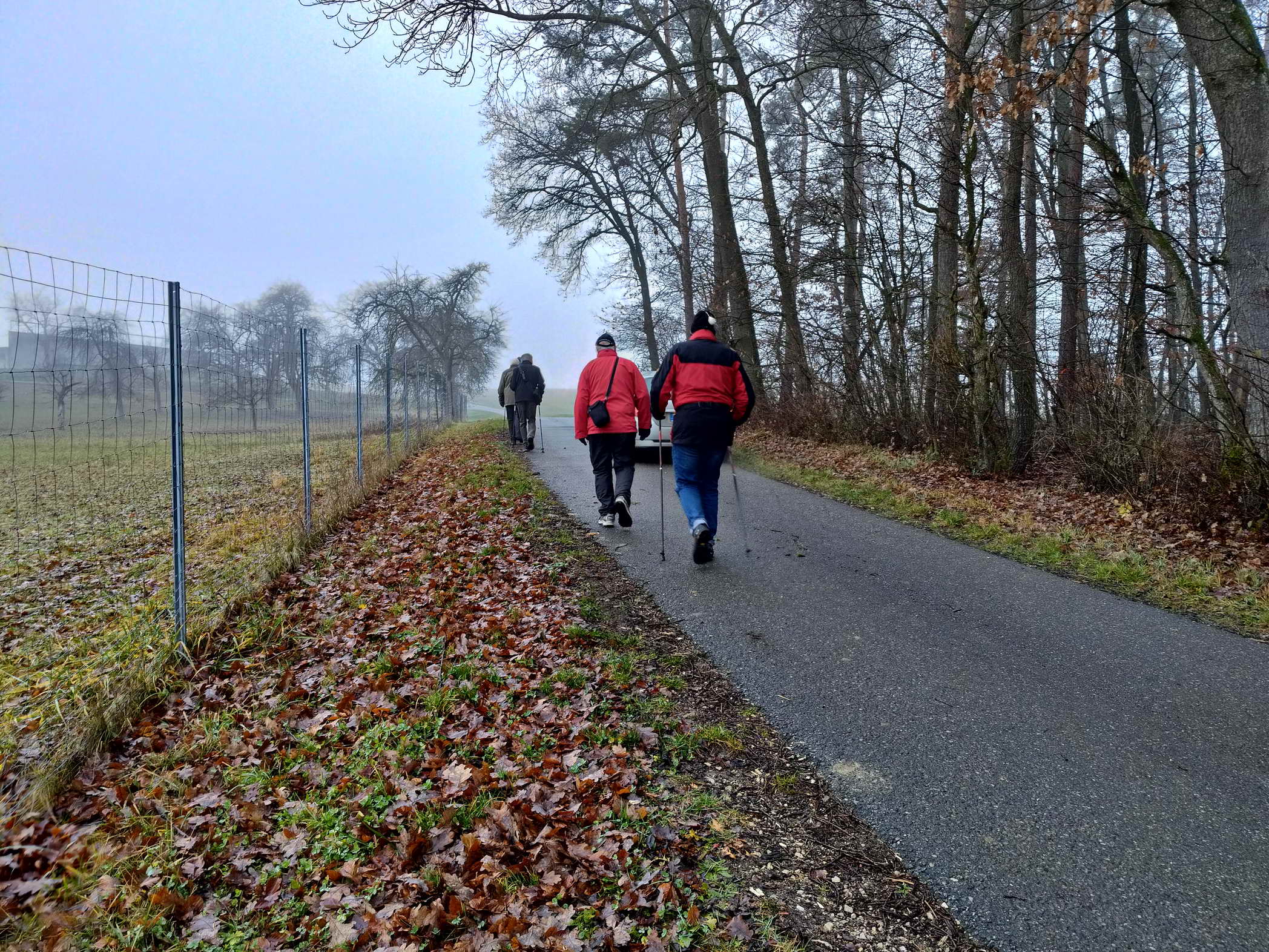 IMG20251215091754a IMG20251215091754a