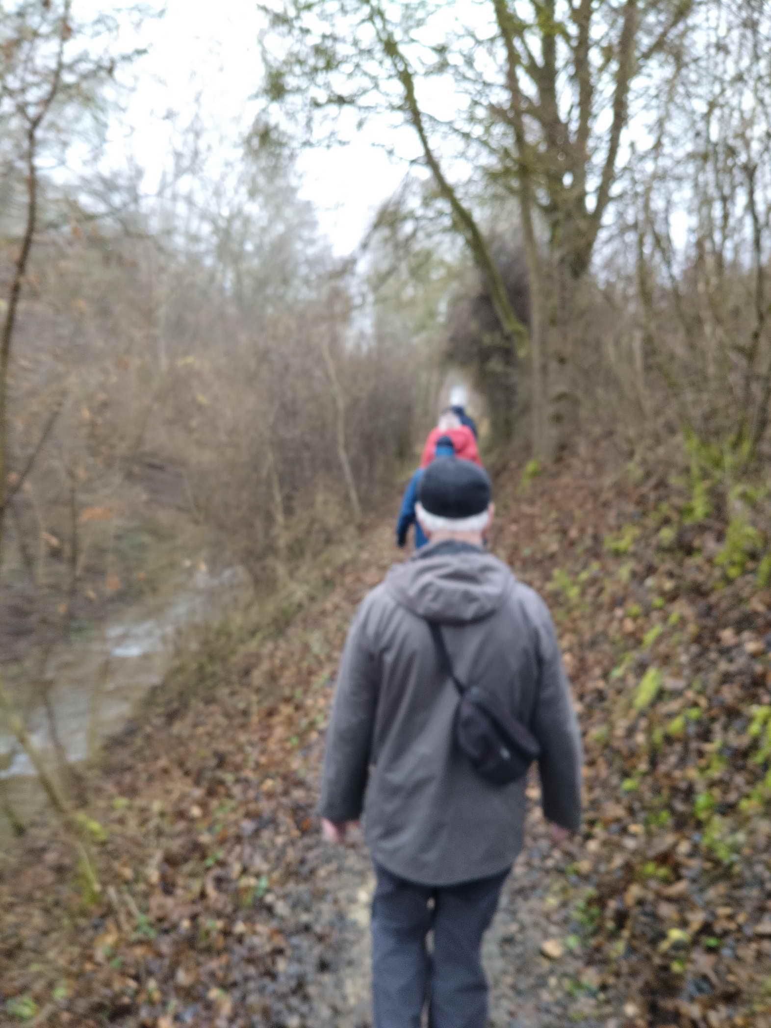 IMG20251215104824a IMG20251215104824a