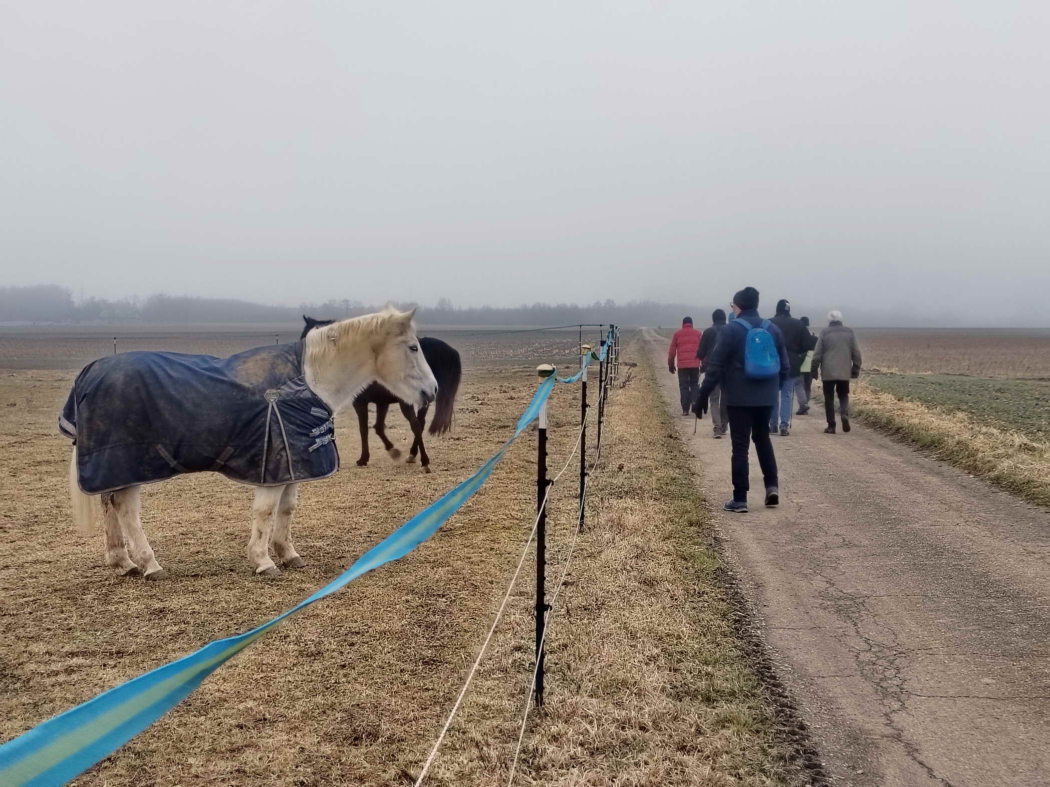 IMG20260119091148a IMG20260119091148a