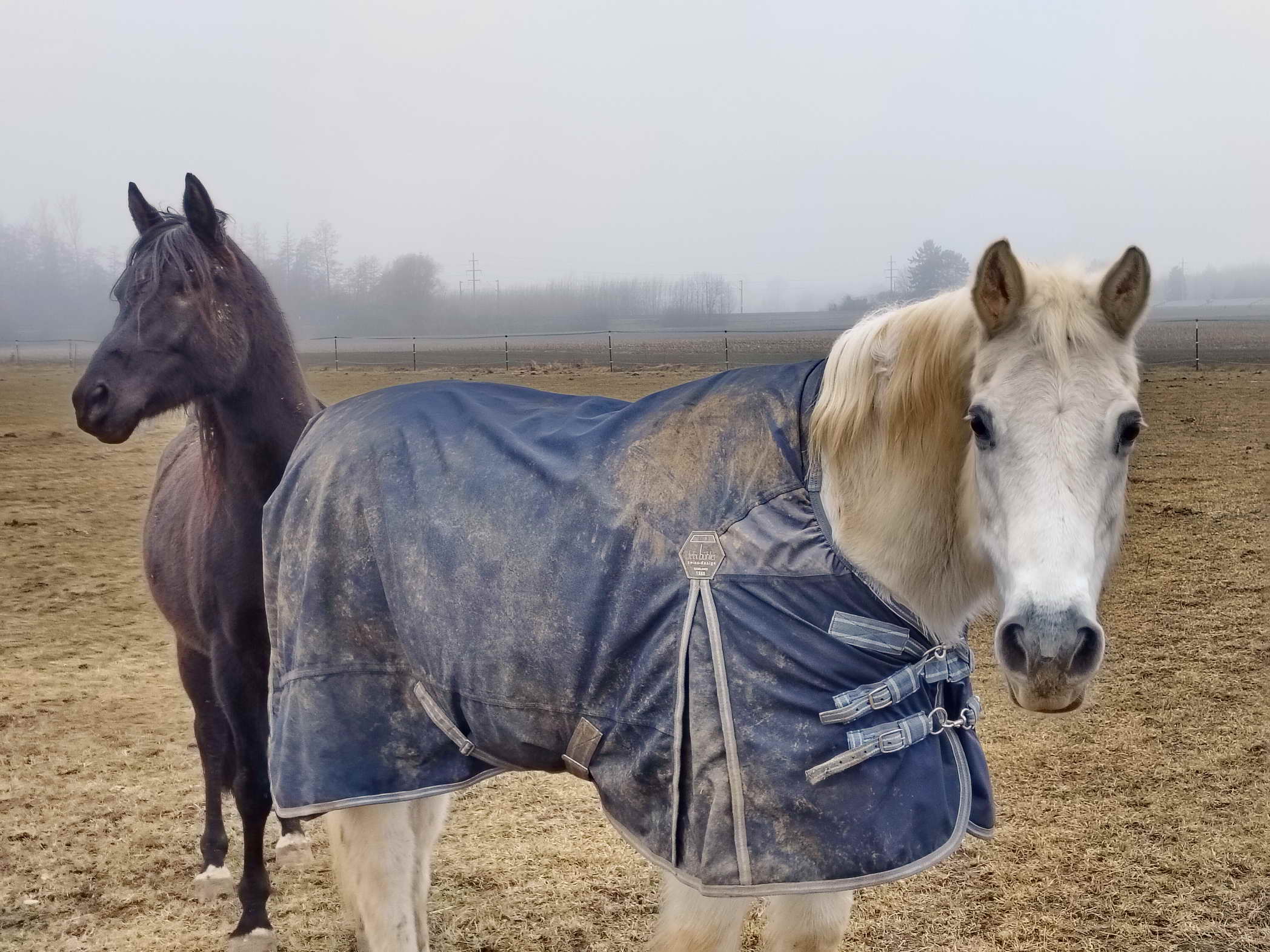 IMG20260119091200a IMG20260119091200a