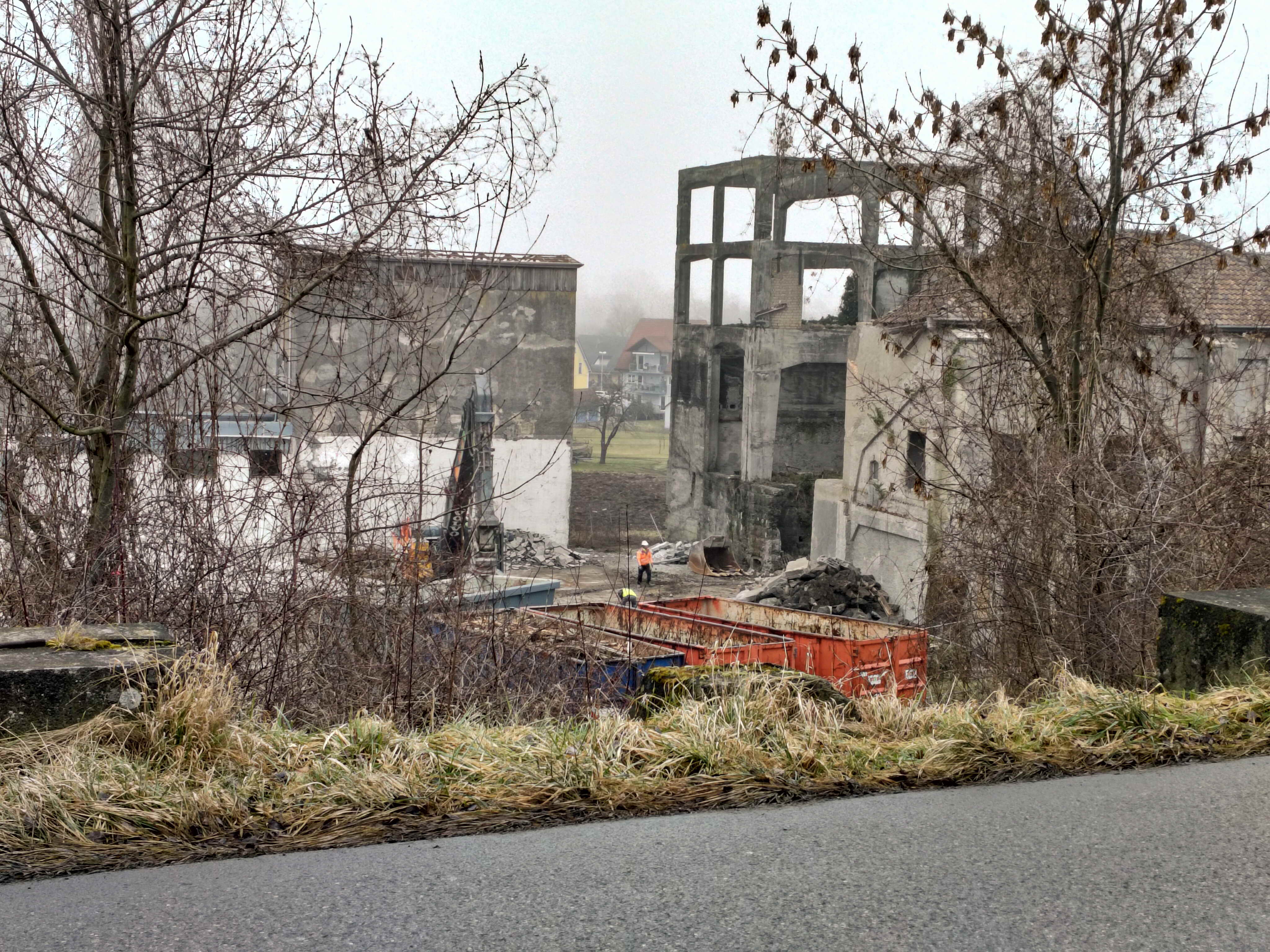 IMG20260119112521a IMG20260119112521a