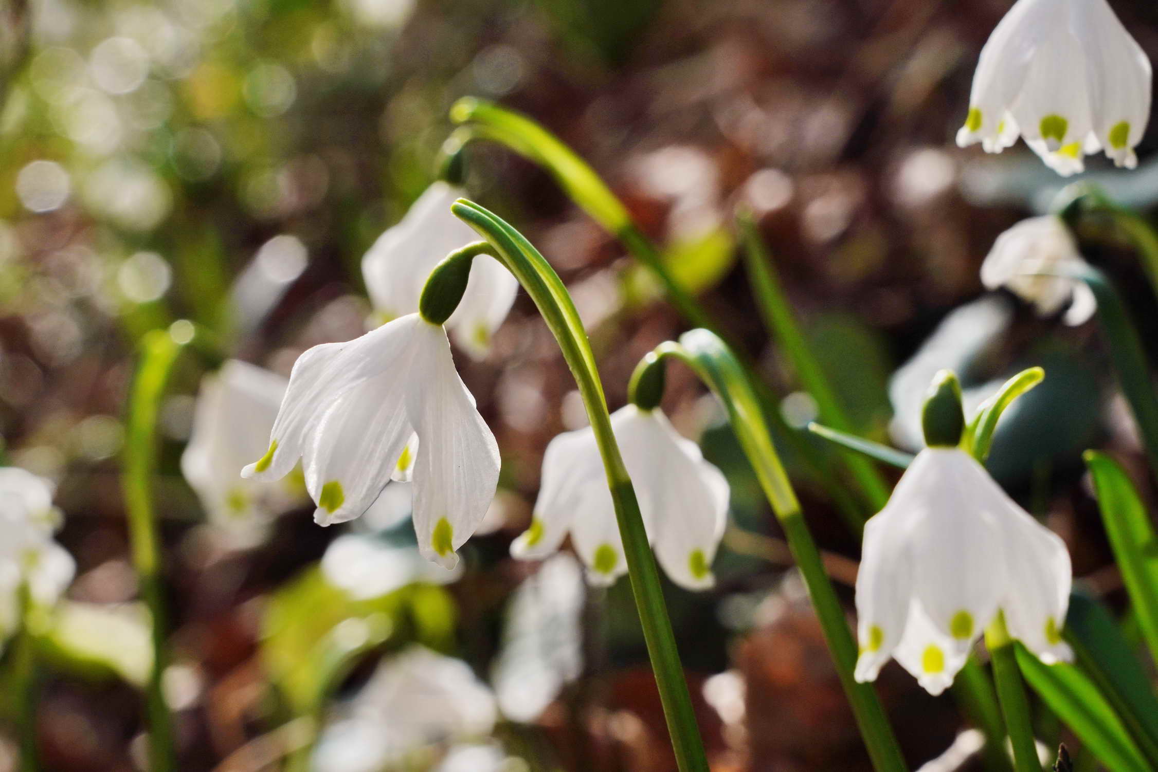 DSC04112aq DSC04112aq