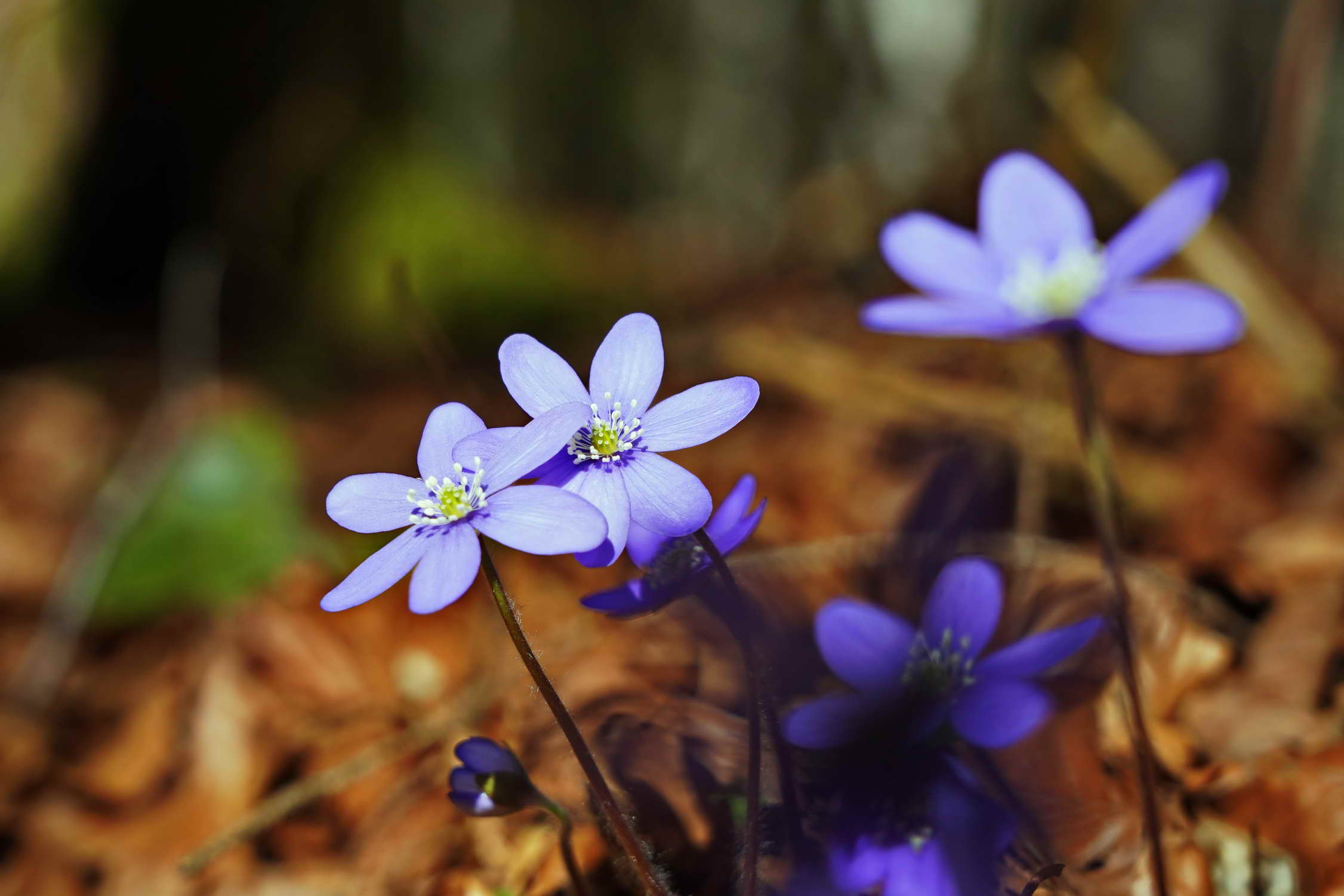 DSC04128aq DSC04128aq