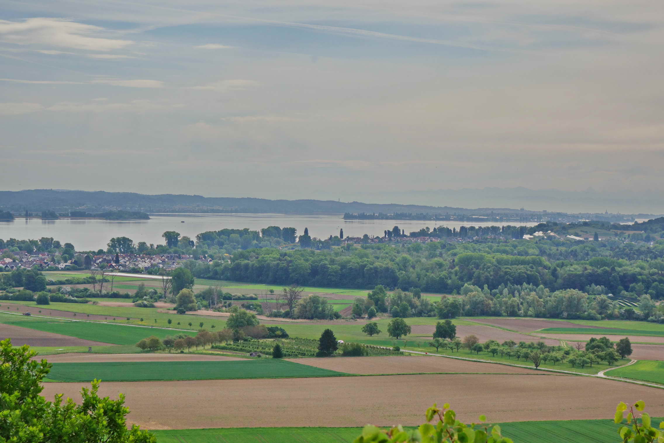 DSC03804a