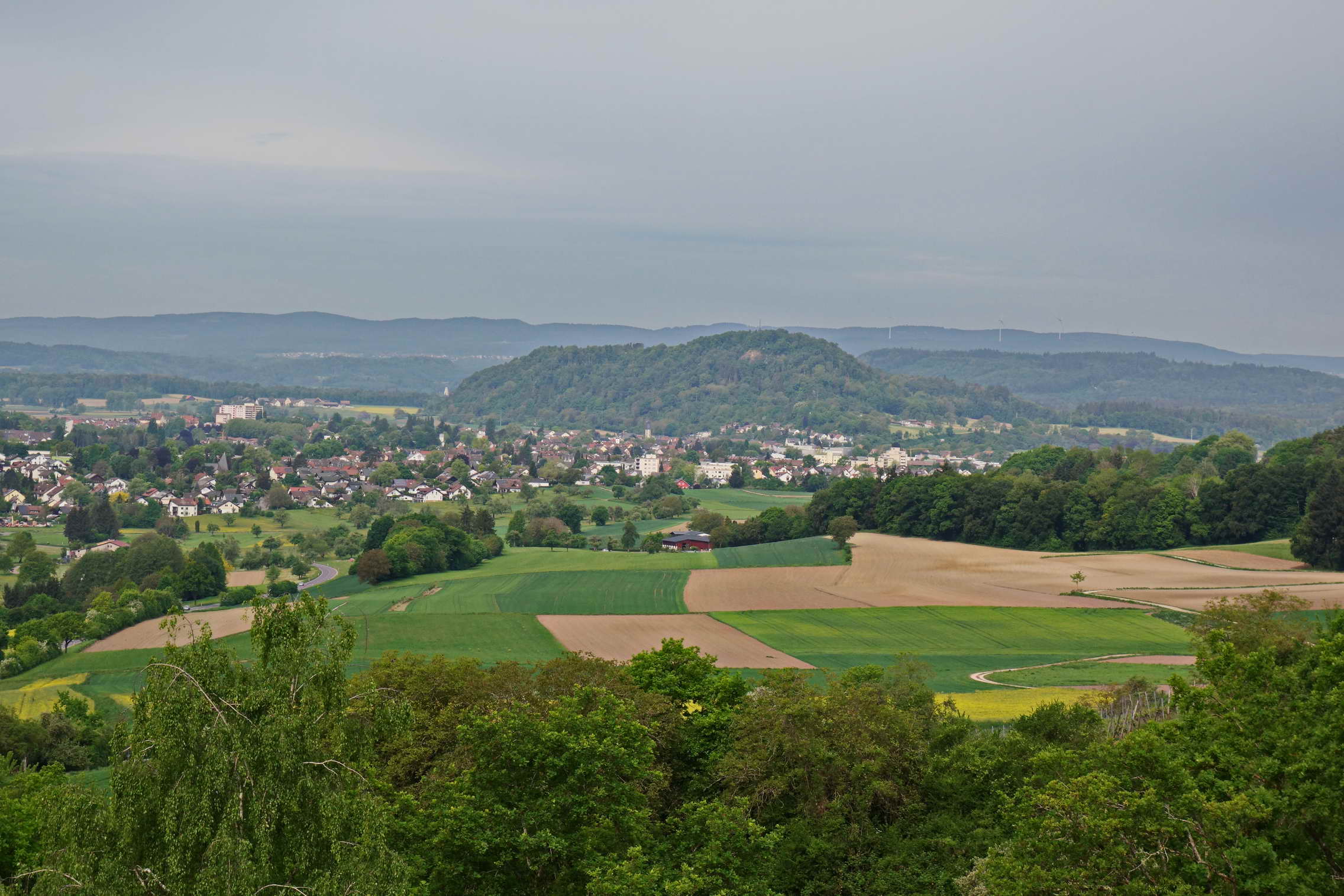 DSC03805a