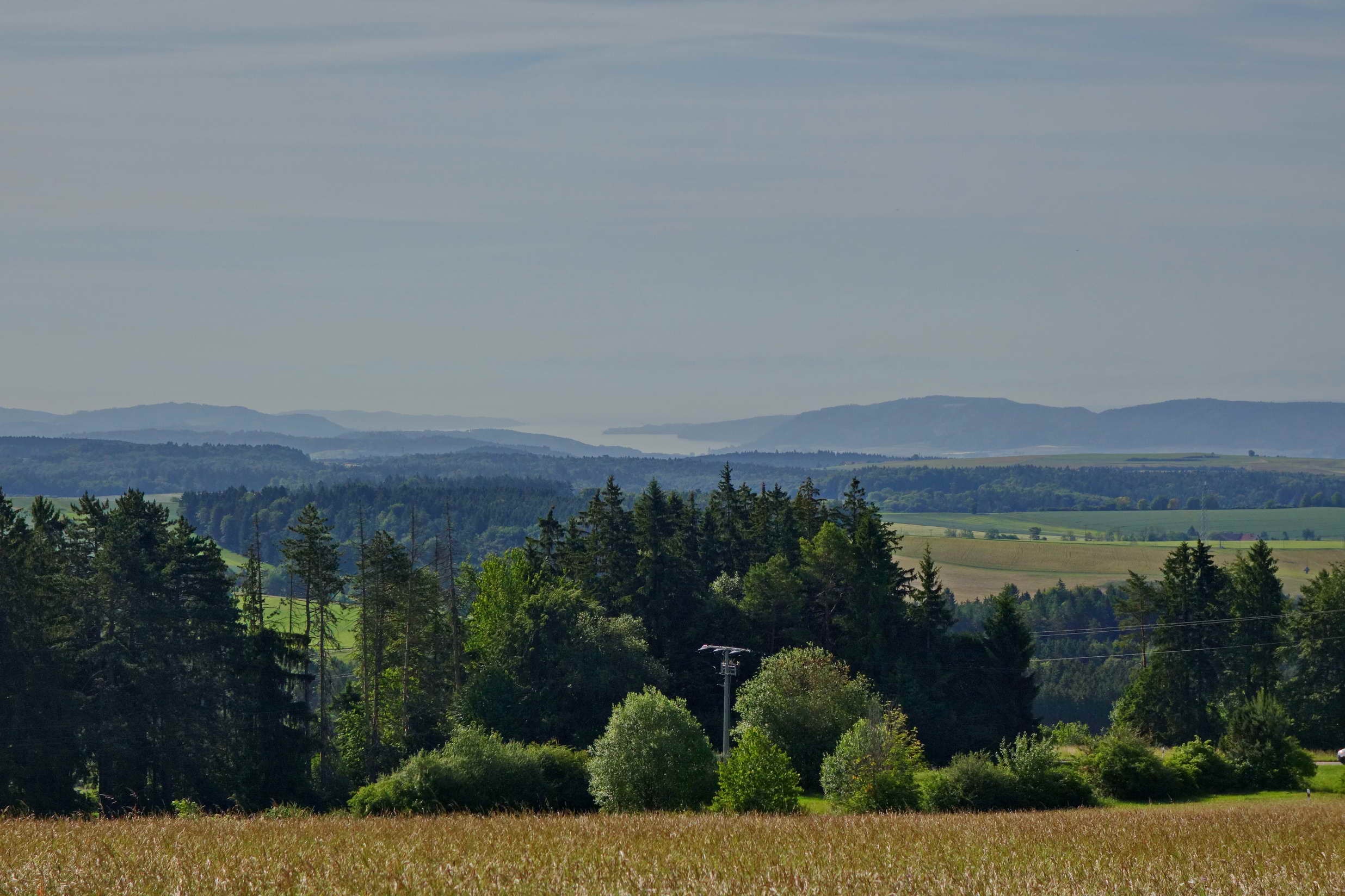 DSC03927a DSC03927a