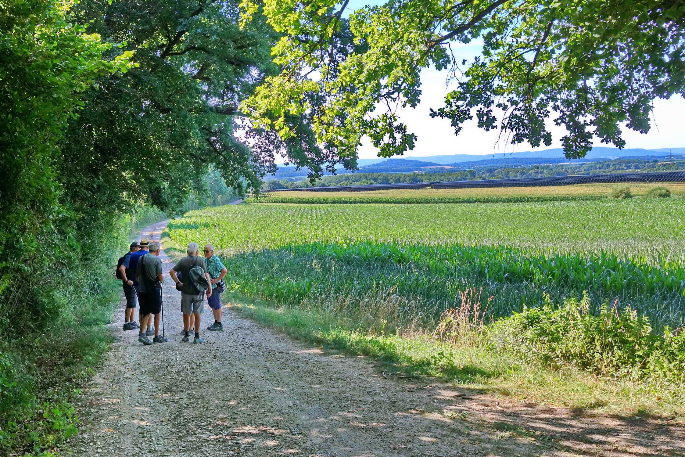 DSC04282a DSC04282a