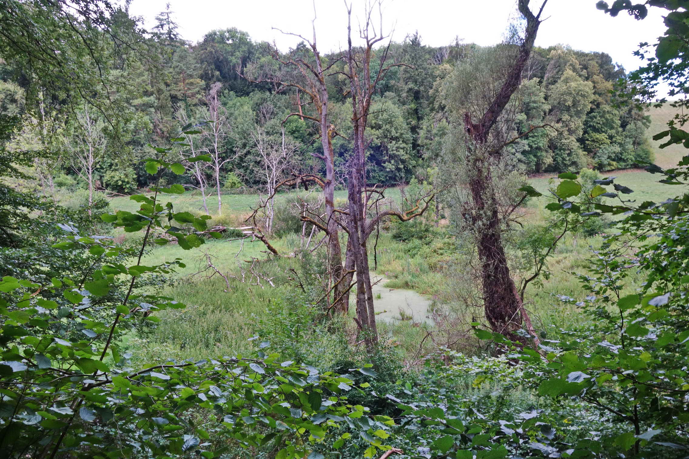 DSC04379a