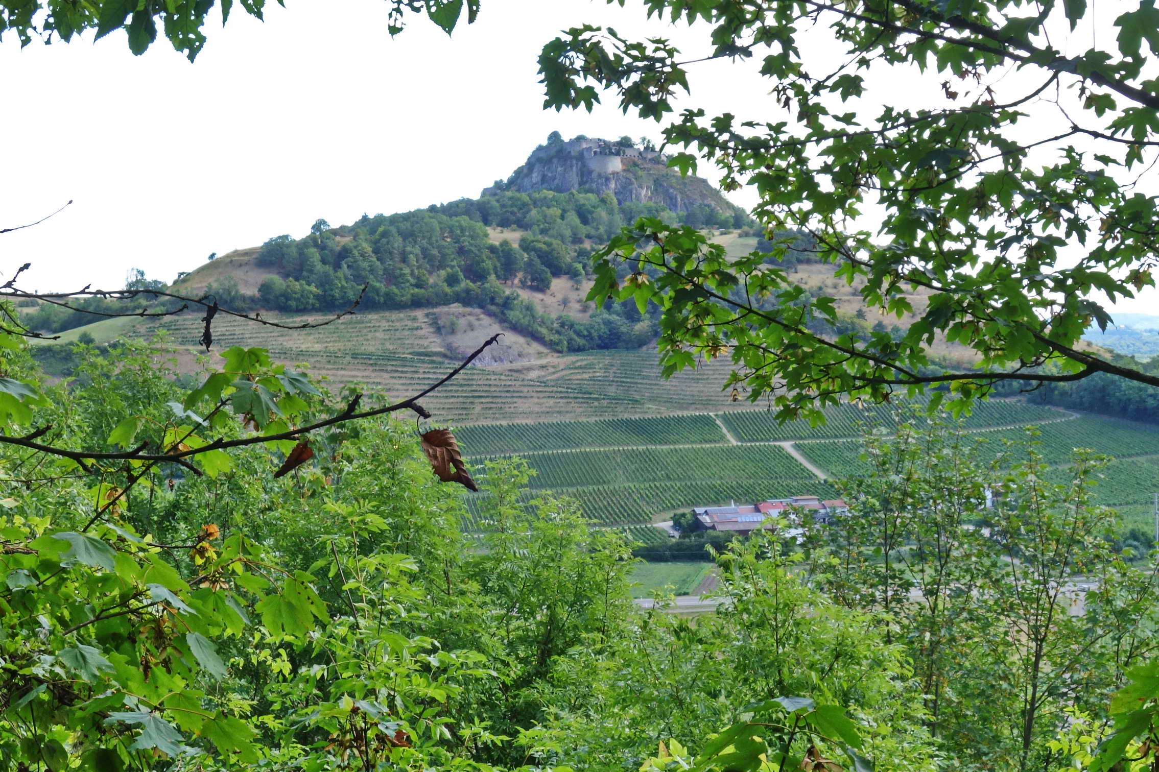 DSC04387a
