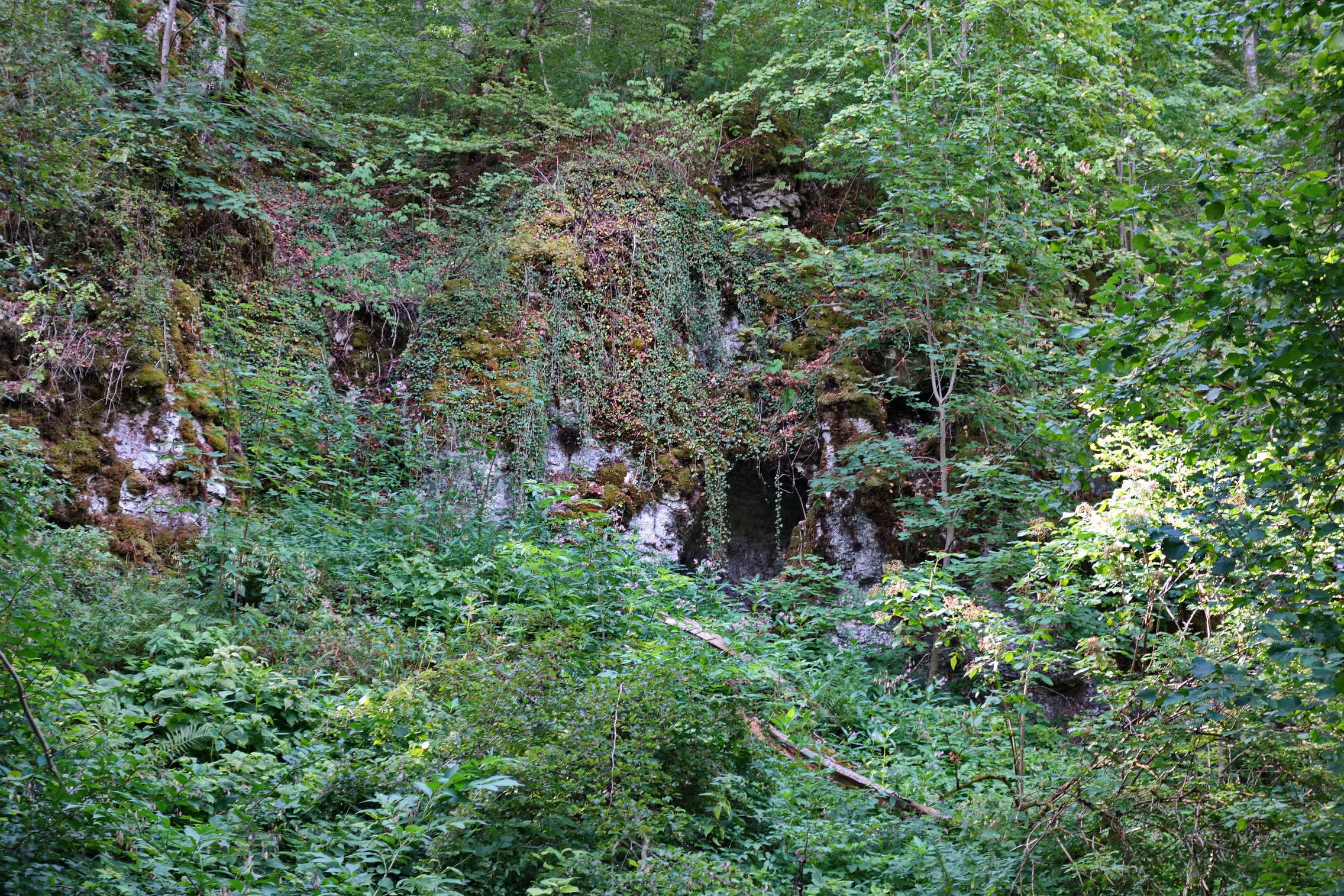 DSC04472a
