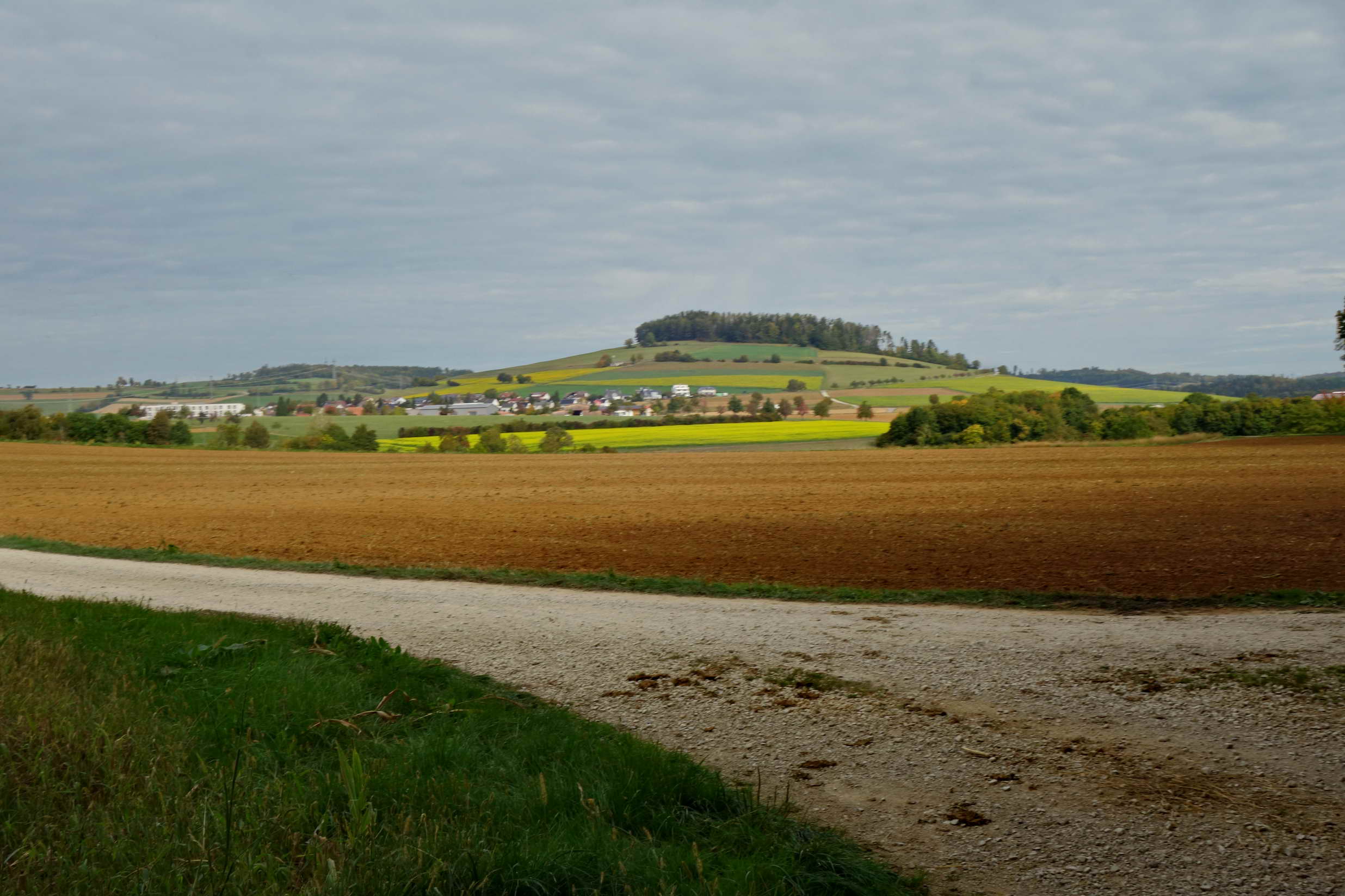 DSC04851a DSC04851a