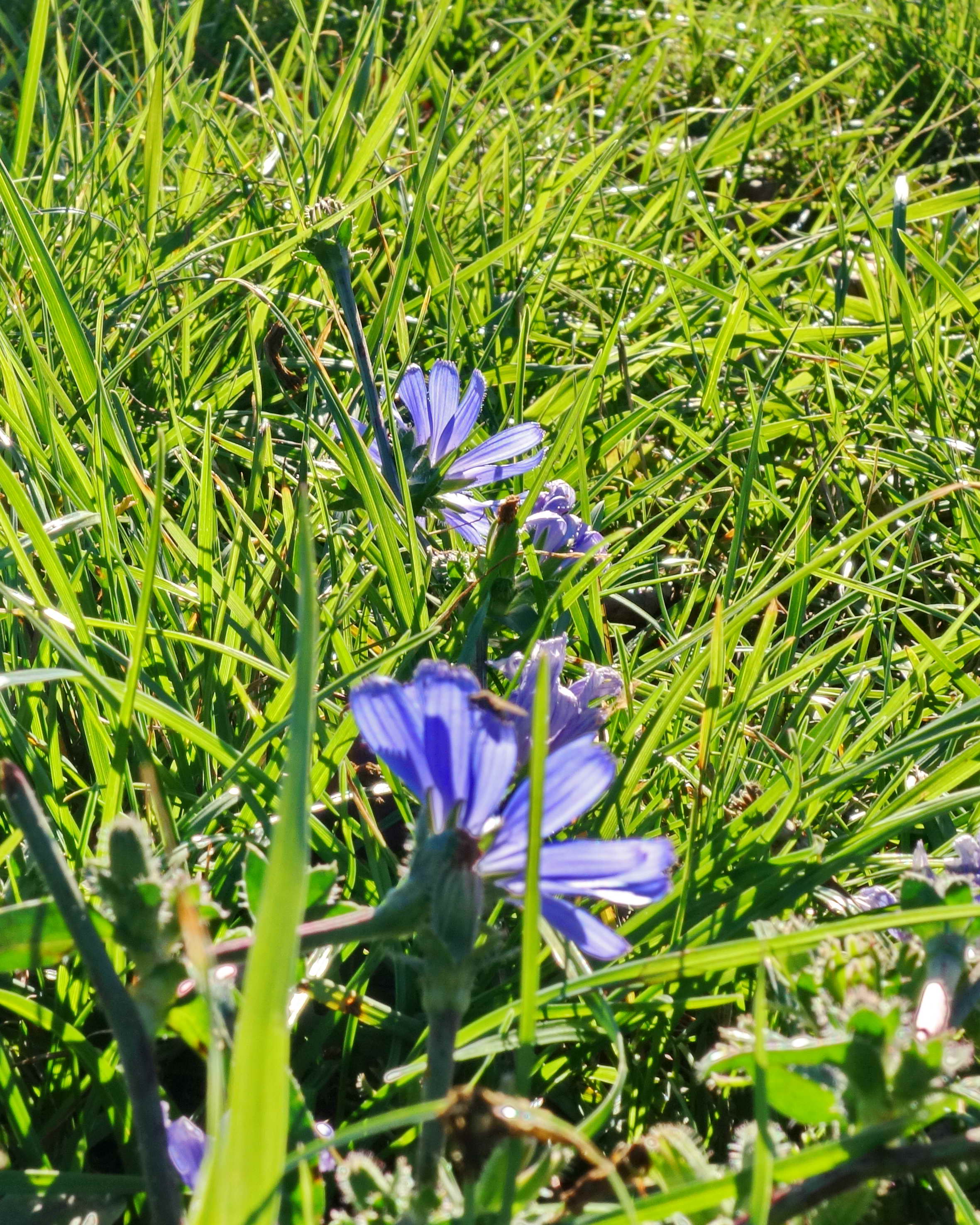 DSC05044a